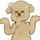 도토리펫샵 이미지