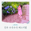 초전 야외무대 | 월아산 숲속의 진주 수국 개화 상황 (페스티벌 이후로도 예쁘게 피어있어요!)