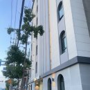 (ND)1226호텔 | ND.1226 호텔 : 부산 김해공항 근처 숙소, 패밀리트윈-시티뷰 후기