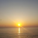 캡슐인강릉 이미지