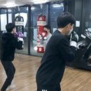 호룡 복싱클럽 이미지