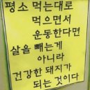 (주)돼지와 건강 이미지