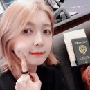 판다미