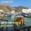 돌고래 | [홍콩 여행] 타이오 마을 수상가옥 &amp; 핑크 돌고래 투어 후기