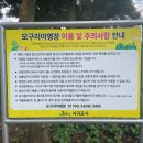 모구리야영장 이미지