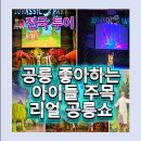 (주)굿모닝월드 전의지점 | 리얼 공룡쇼 포켓다이노 어린이 공룡 뮤지컬 정리🦖 1억 만년 전 공룡이 눈앞에!