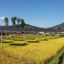 생활 태양광발전소 이미지