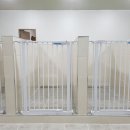 파트라슈반려견학교 네이버블로그
