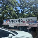 평지돌담집 | 서울근교계곡 택시가능한 과천 계곡 돌담집 삼계탕맛집