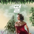 주식회사 전씨네