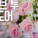 러브투도어