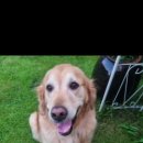 이브겨울이네펜션 이미지