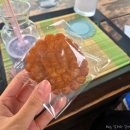 내뜰안 | 남자친구가 찾아준 힐링 옴팡지게 하고 온 속초 카페. 한옥카페 뜰안 (메뉴, 주차, 위치)