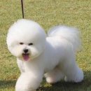 개린이살롱 네이버블로그