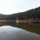 검성로-8 이미지