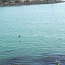 하버타운 이미지