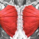 부평 프리웨이트 헬스 PT 이미지