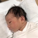 안암동물병원 이미지