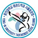 용인대 미르 태권도장 이미지