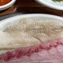 무릉도원회센터 | 경산사동맛집 푸짐한 양의 회에 집중하고싶을 때 무릉도원회센터