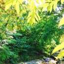 수골 농장 이미지