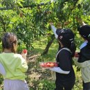 문화농장 이미지