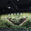 엔젤 식물원 | 성동】 한국관광100선 ! 성동구 갈만한곳 ! 성수동 갈만한곳 ! 지하철타고가는 관광지 ! 서울숲 곤충식물원