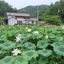 맑은물농원