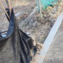 주식회사 게임로프트() | 파크 골프채 가격 no.1