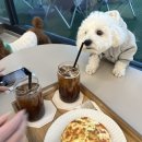 카페002