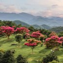 사유원 스포츠경향