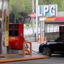 매일엘피지 이미지