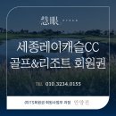 (주)정안티에스 | 세종레이캐슬CC 회원권의 모든 것⛳ 세종권 유일의 무기명 대안, 지분 구조와 재무 팩트 체크