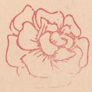 장천 꽃 박물관 이미지