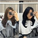 다솜사 | [잠실/송파] &#39;선윤헤어&#39; 다솜원장님 염색&amp;레이어트컷 내돈내산 솔직후기✨