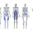 복싱번짐 이미지