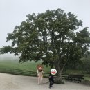 윤조목장 이미지