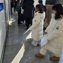 디지털정보활용능력 | 2025년 제2501회 정기 디지털정보활용능력 시험 합격후기