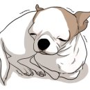 쿠쿠숲