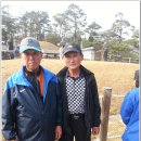한반도농업협동조합 Daum카페