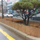 방풍벽 뉴시스