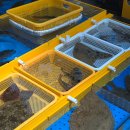 거진항(판매장) 이미지