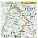 다람쥐몰 이미지