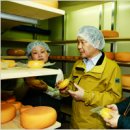 진흥목장 이미지