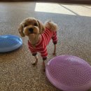 이리온(IRION) 이미지