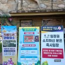 2025경남고성공룡세계엑스포 | 고성공룡엑스포, 2025 경남고성공룡세계엑스포, 방문후기 꿀팁, 공룡 퍼레이드 시간