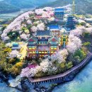 소풍(원산도-안면도-백사장항-해미읍성 관광) 이미지