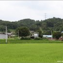 강감찬 충현사 이미지