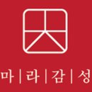 감나무길(태화동) 이미지