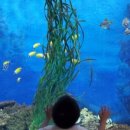 고래생태체험관 화장실 이미지